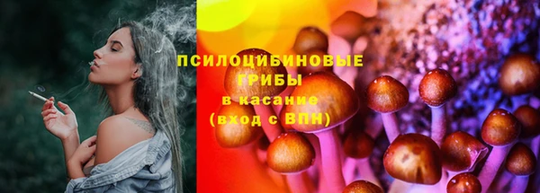спайс Алексин