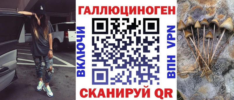 omg tor  Мышкин  Галлюциногенные грибы Cubensis 