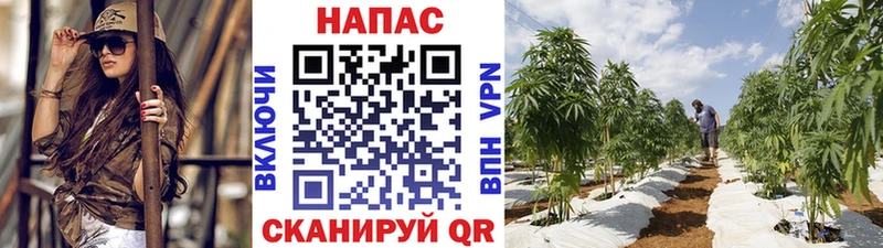 Канабис White Widow  Мышкин 